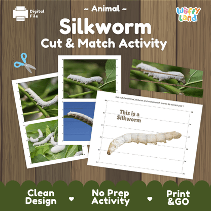 Silkworm Cut and Match Activity  Printables Worksheets
