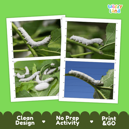 Silkworm Cut and Match Activity  Printables Worksheets