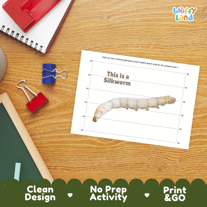 Silkworm Cut and Match Activity  Printables Worksheets