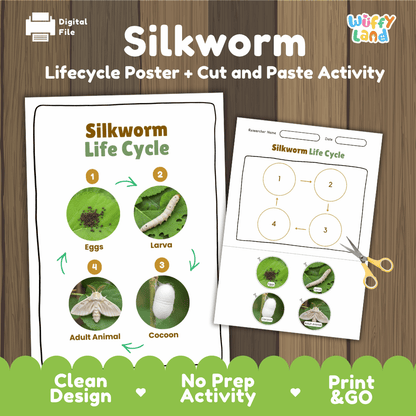 Silkworm Lifecycle Poster and Cut and Paste Activity Worksheets | Animal Science Printables