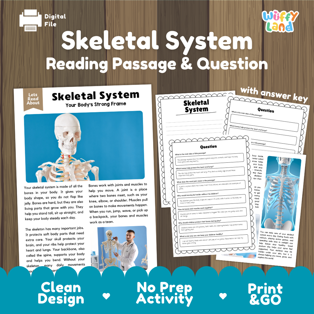 Skeletal system reading comprehension passage and questions printable activity pack with answer key for elementary students