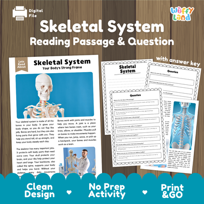 Skeletal system reading comprehension passage and questions printable activity pack with answer key for elementary students