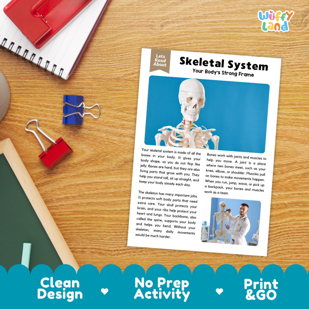 Student reading comprehension worksheet with short-answer questions and lined sections about the human skeletal system