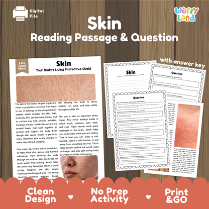 Skin reading comprehension passage and questions printable activity pack with answer key for elementary students