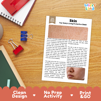 Student reading comprehension worksheet with short-answer questions and lined sections about human skin