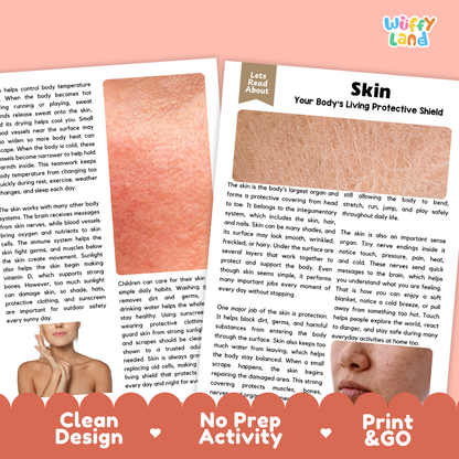 Teacher answer key page showing complete question solutions for Skin human body reading comprehension practice