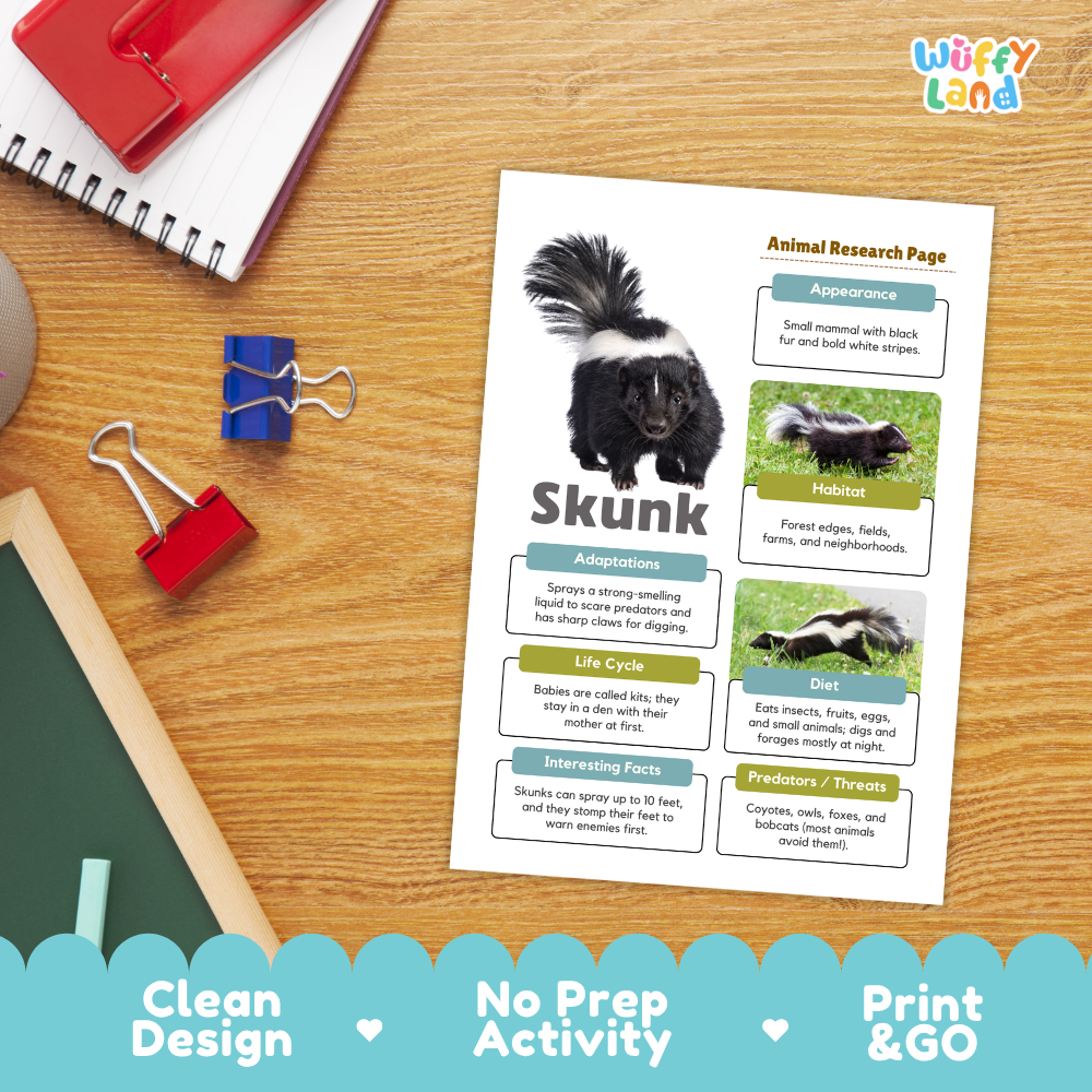 An educational animal research page about skunks displayed on a wooden desk with school supplies. The page features a black-and-white skunk photo and text boxes with headings like Appearance, Habitat, Adaptations, Life Cycle, Diet, and Keeping Facts.