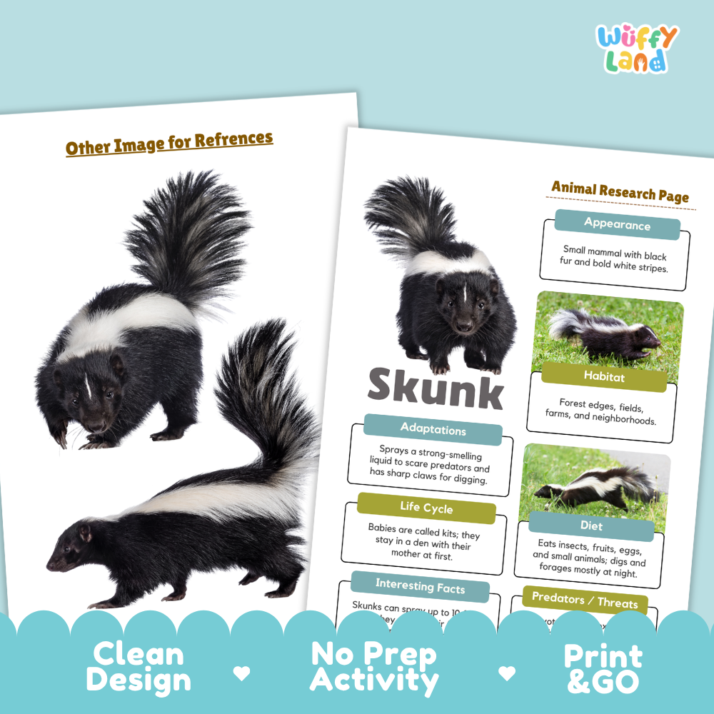Two printed educational reference sheets about skunks displayed on a light blue background. One sheet shows a large skunk photo with the heading 'Other Image for References,' and the other shows a labeled skunk research page with appearance, habitat, adaptations, life cycle, diet, and predators.