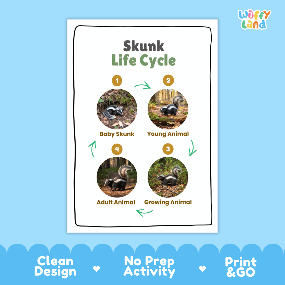 Skunk Life Cycle Poster and Cut and Paste Activity Worksheets
