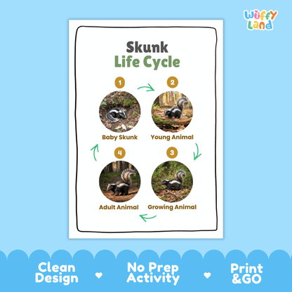 Skunk Life Cycle Poster and Cut and Paste Activity Worksheets