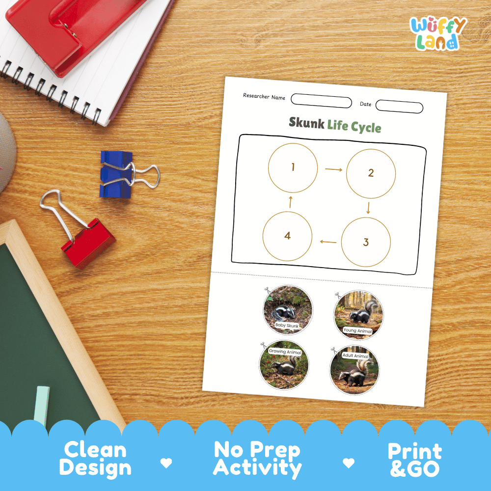 Skunk Life Cycle Poster and Cut and Paste Activity Worksheets