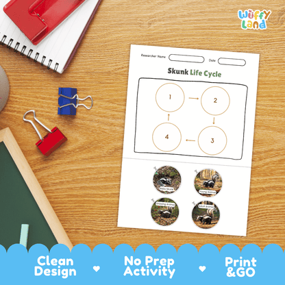 Skunk Life Cycle Poster and Cut and Paste Activity Worksheets