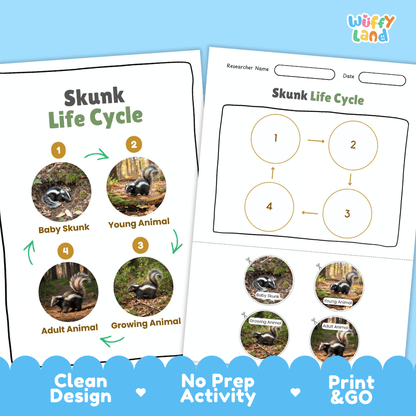Skunk Life Cycle Poster and Cut and Paste Activity Worksheets