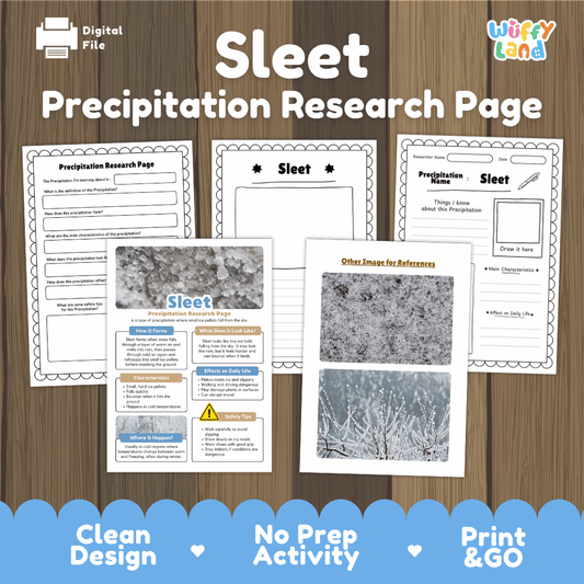 Sleet Precipitation Research Page Worksheets Weather Science Activity
