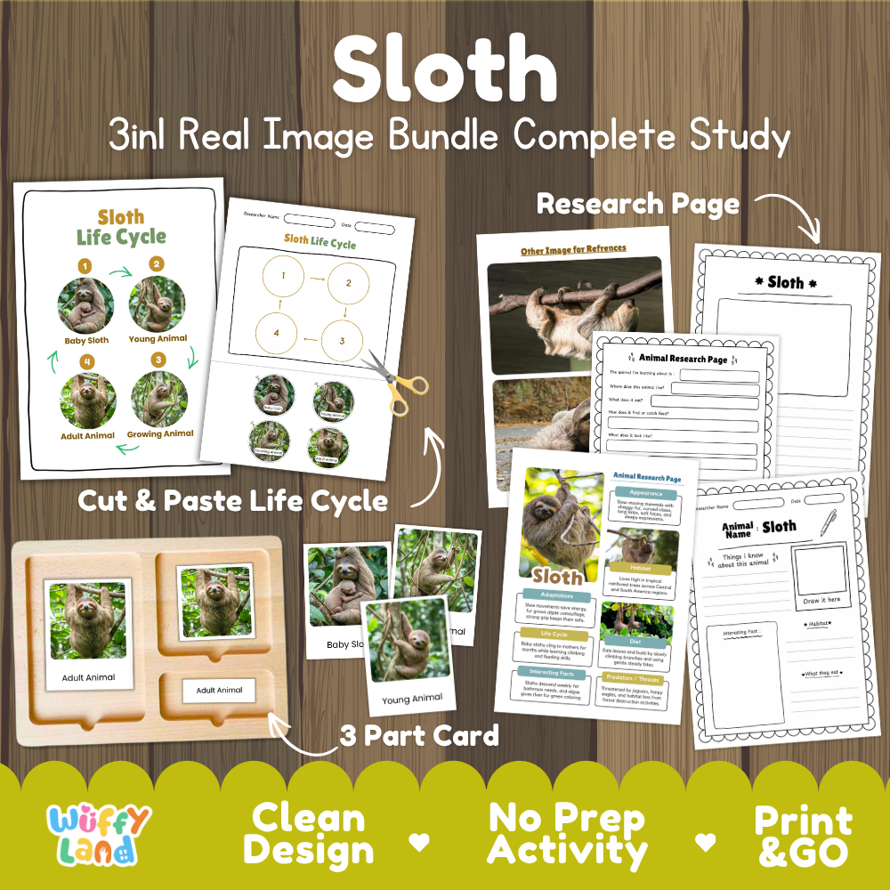 Sloth 3-in-1 real image bundle complete study cover showing cut and paste life cycle, 3 part cards, and research pages