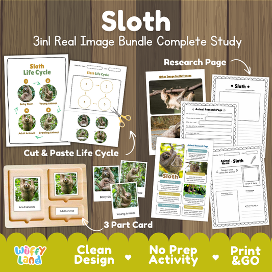Sloth 3-in-1 real image bundle complete study cover showing cut and paste life cycle, 3 part cards, and research pages