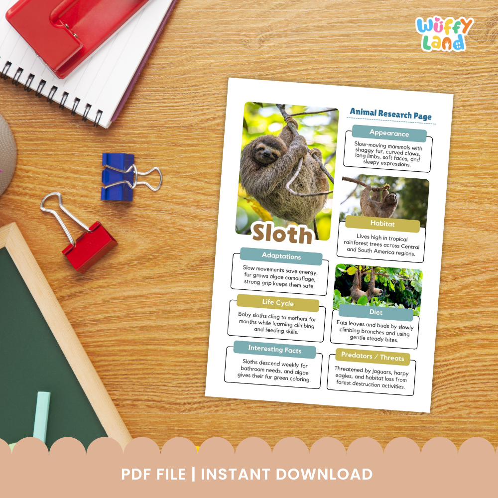 Sloth Animal Research Page Printable Worksheets for Early Elementary