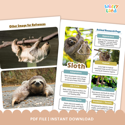 Sloth Animal Research Page Printable Worksheets for Early Elementary