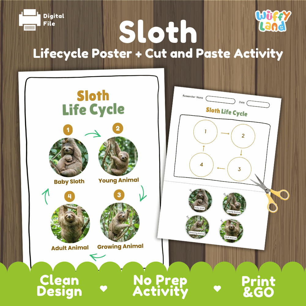 Sloth Life Cycle Poster and Cut and Paste Activity Worksheets