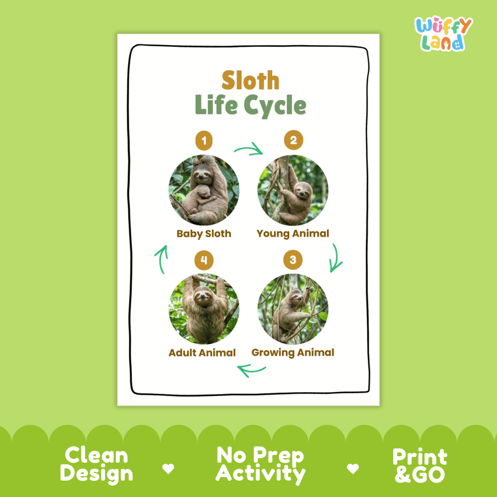 Sloth Life Cycle Poster and Cut and Paste Activity Worksheets