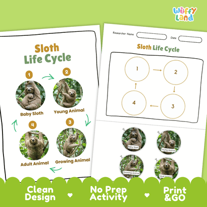 Sloth Life Cycle Poster and Cut and Paste Activity Worksheets