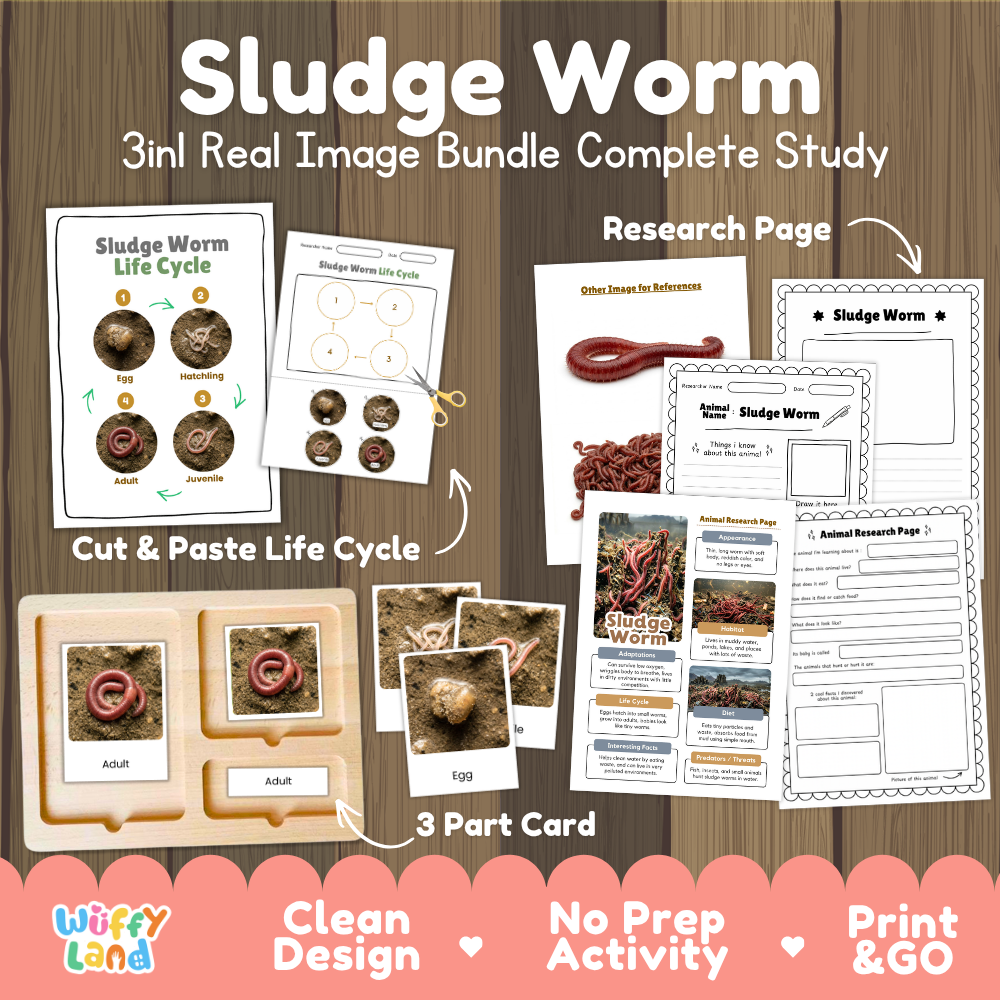 Sludge worm 3-in-1 real image bundle complete study cover showing cut and paste life cycle, 3 part cards, and research pages
