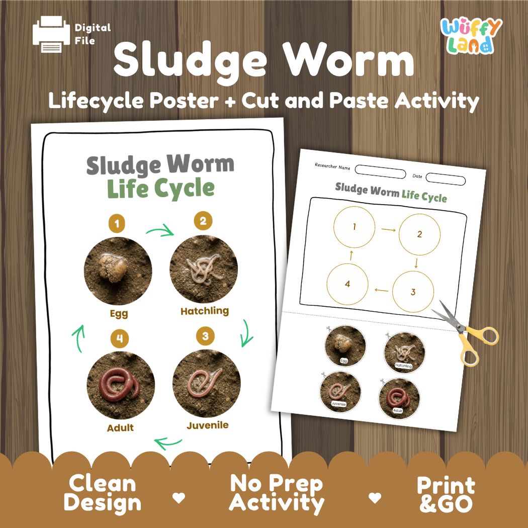 Sludge Worm Life Cycle Poster and Cut and Paste Activity Worksheet