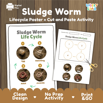 Sludge Worm Life Cycle Poster and Cut and Paste Activity Worksheet