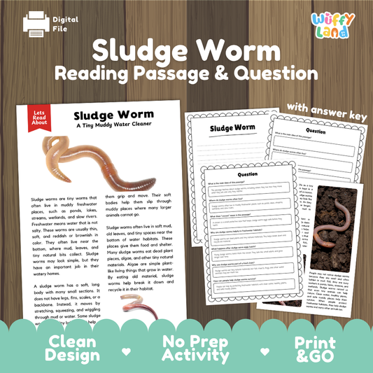 Digital reading activity product for 'Sludge Worm' featuring a reading passage, worksheet, and question page displayed on a wood background with promotional text at the bottom.