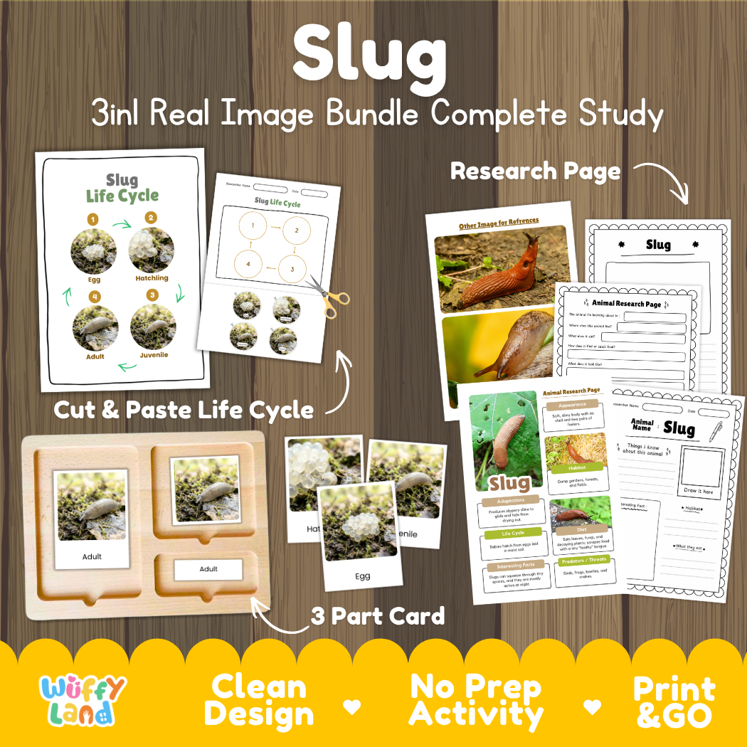 Slug 3-in-1 real image bundle complete study cover showing cut and paste life cycle, 3 part cards, and research pages