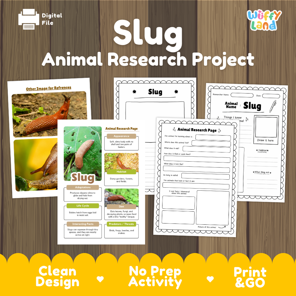 Digital file preview for a 'Slug Animal Research Project' activity sheet set by Wiffly Land, displayed on a wood background with promotional text at the bottom.