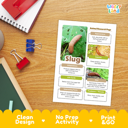 Slug Animal Research Project Worksheets and Fact Sheet