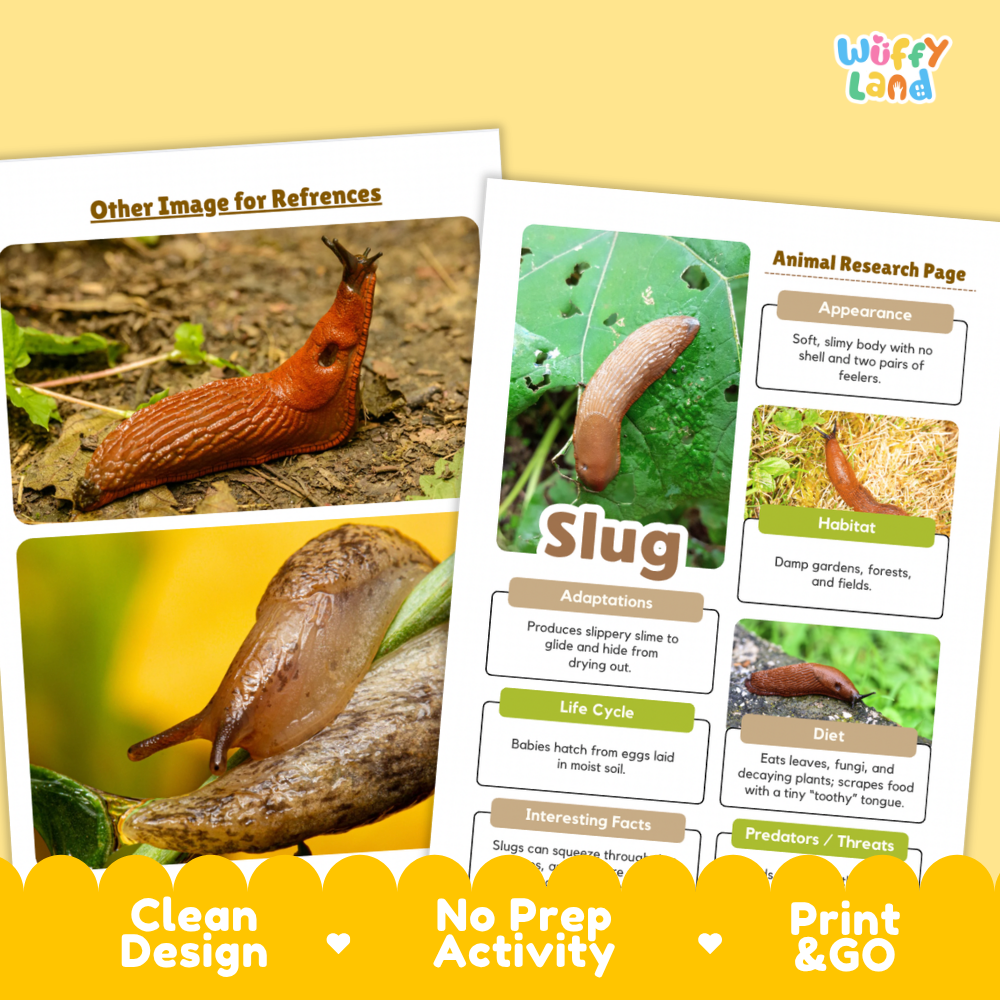 Slug Animal Research Project Worksheets and Fact Sheet