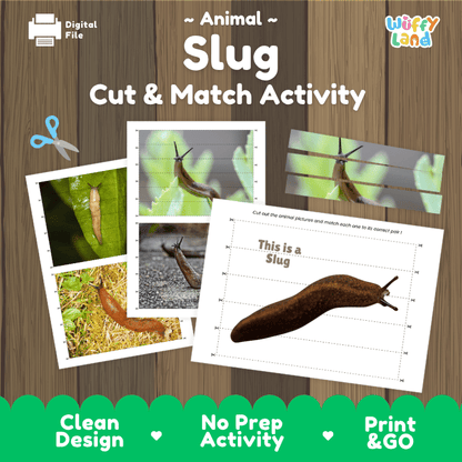 Slug Cut and Match Activity Printables Worksheets
