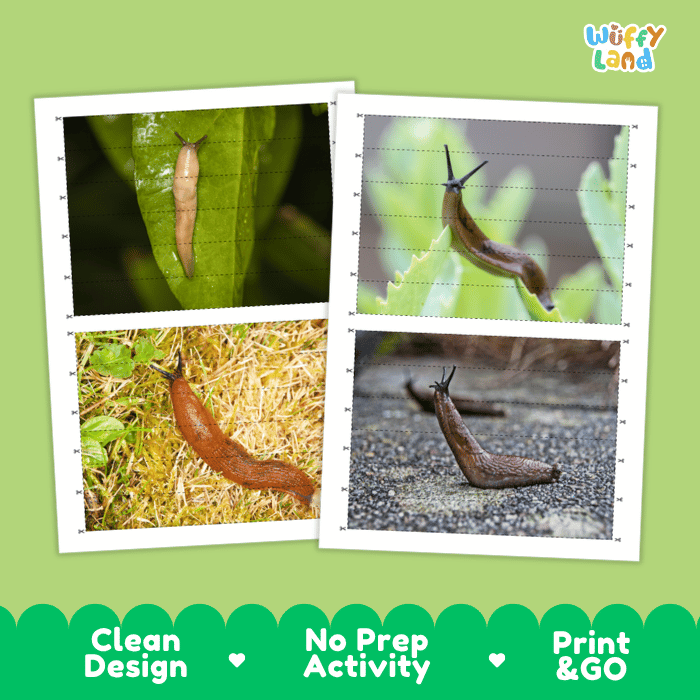 Slug Cut and Match Activity Printables Worksheets