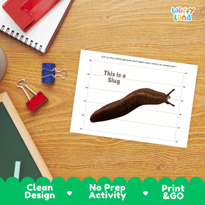 Slug Cut and Match Activity Printables Worksheets