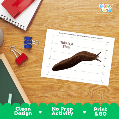 Slug Cut and Match Activity Printables Worksheets