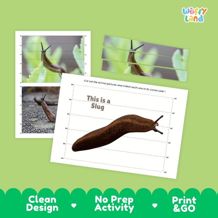 Slug Cut and Match Activity Printables Worksheets