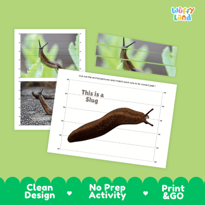 Slug Cut and Match Activity Printables Worksheets