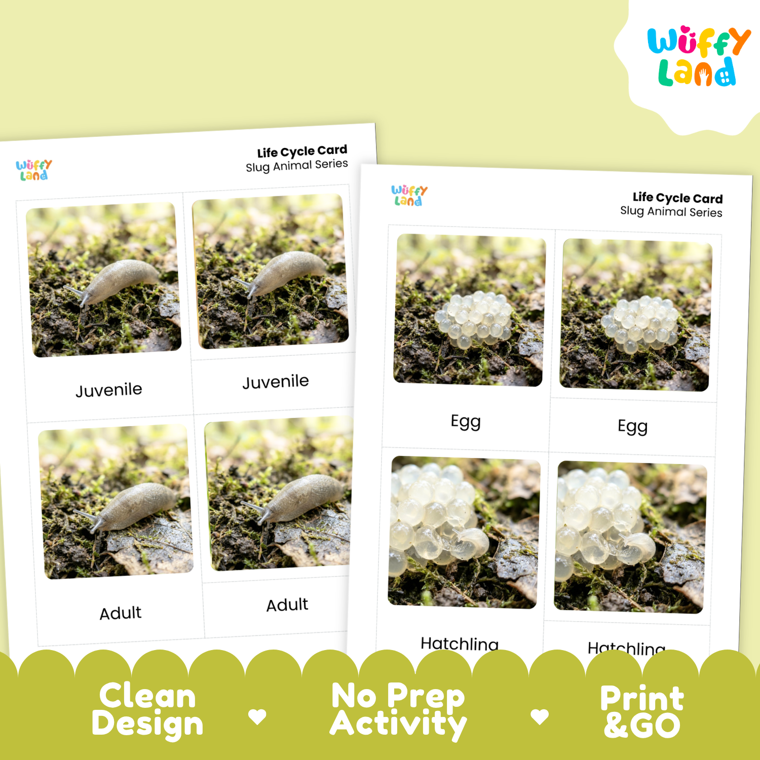 Two printed life cycle cards for a slug animal series shown on a pale yellow background. The cards feature labeled photos of a slug labeled 'Juvenile,' 'Adult,' 'Egg,' and 'Hatchling.