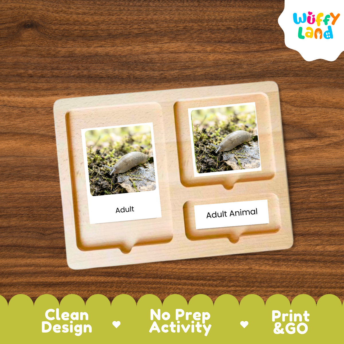 A wooden Montessori-style activity board with two labeled slots reading 'Adult' and 'Adult Animal,' placed on a brown wood surface. The board contains small printed cards with a mossy animal photo and the word 'Adult.