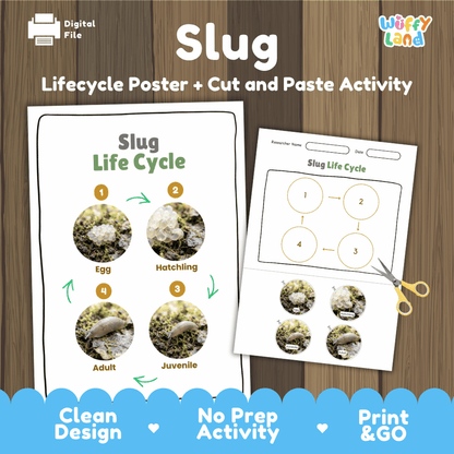 Slug Life Cycle Poster and Cut and Paste Activity Worksheets