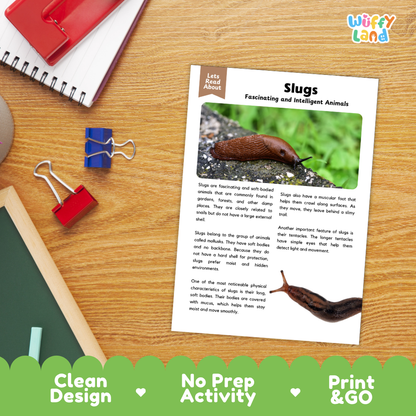 A printed educational activity sheet about slugs titled 'Slugs Fascinating and Intelligent Animals' placed on a wooden desk, surrounded by school supplies including a spiral notebook, red and blue binder clips, and a red pen. A green banner at the bottom reads 'Clean Design', 'No Prep Activity', and 'Print & GO'.