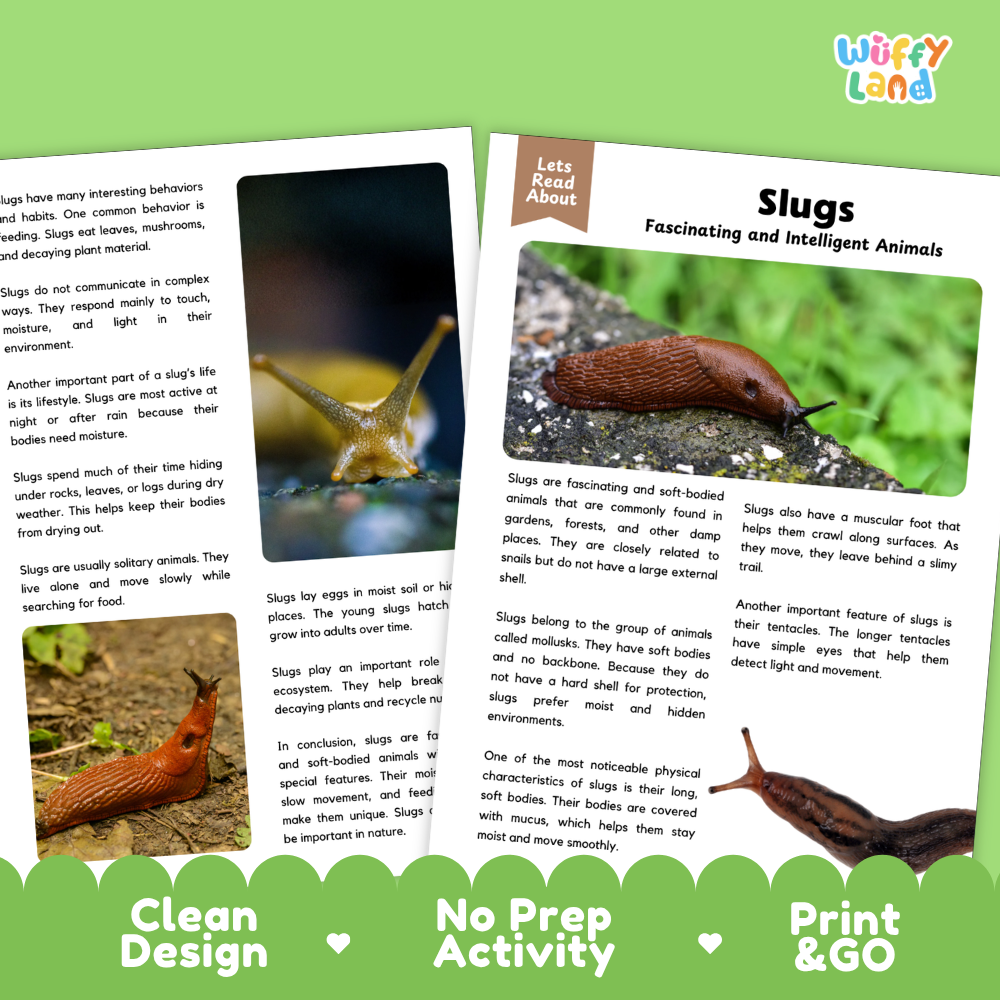 Slugs Reading Passage and Comprehension Questions with Answer Key