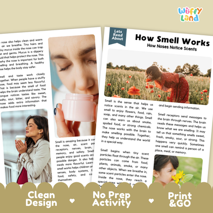 Complete teacher answer key worksheet providing detailed model responses for smell comprehension questions