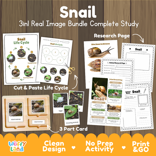 Snail 3-in-1 real image bundle complete study cover showing cut and paste life cycle, 3 part cards, and research pages