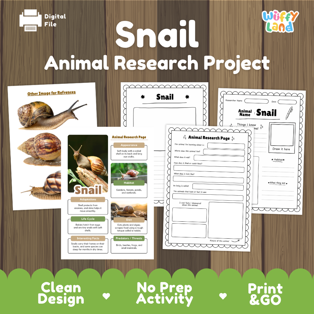 Snail Animal Research Project Worksheets and Fact Sheet
