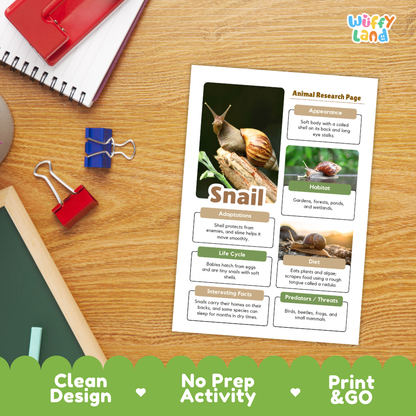 Snail Animal Research Project Worksheets and Fact Sheet