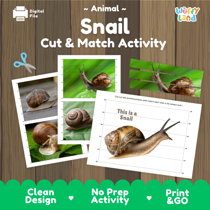 Snail Cut and Match Activity Printables Worksheets