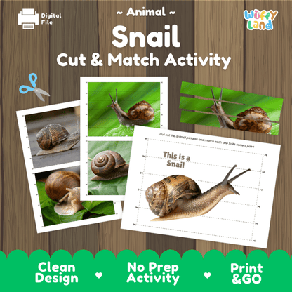 Snail Cut and Match Activity Printables Worksheets